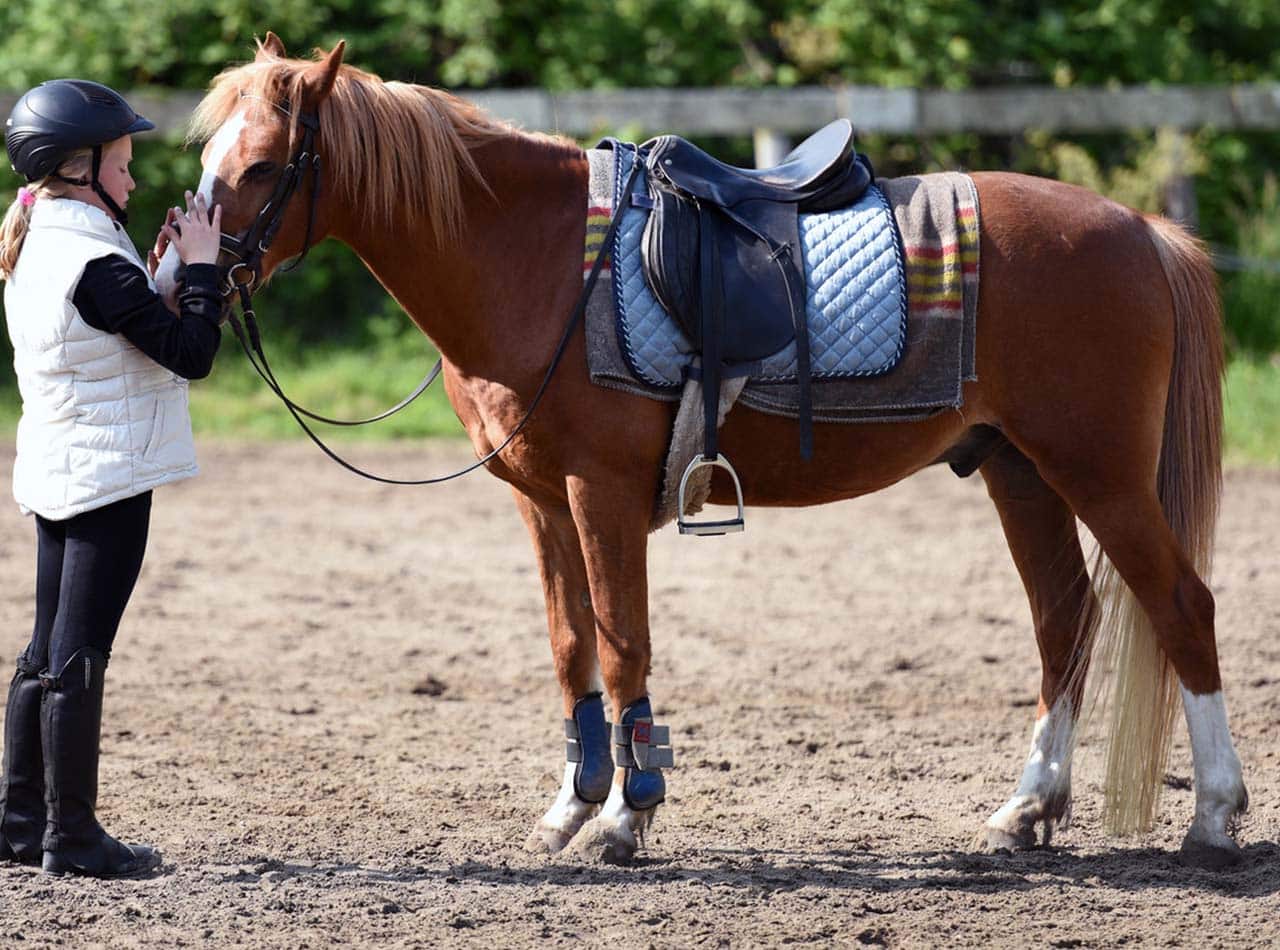 What is Equine-Assisted Therapy?